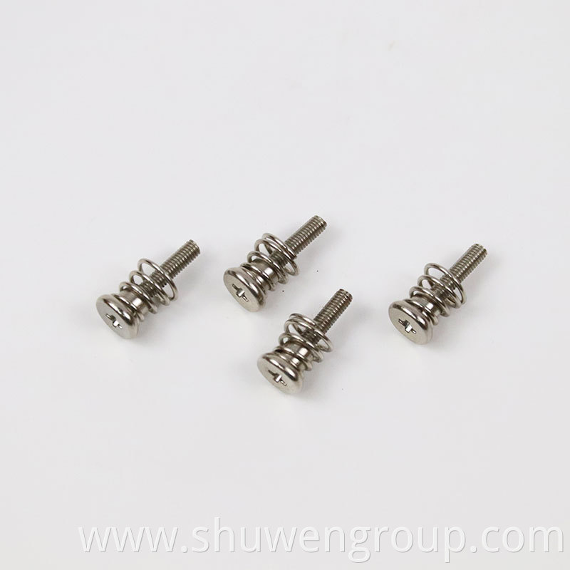 Sems Screw With Lock Washers